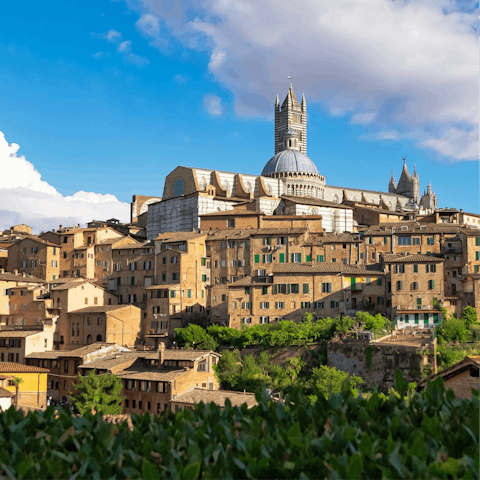 Take a day trip to Siena, a twenty-minute drive away