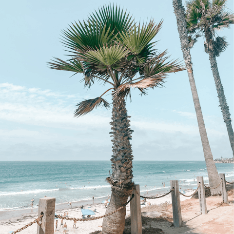 Take a short drive to lively Mission Beach