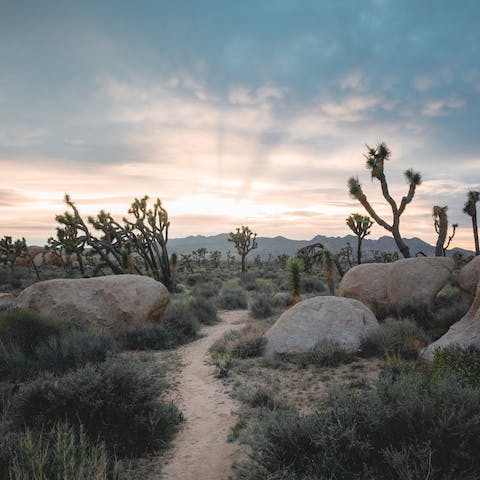 Visit Joshua Tree National Park, an eight-minute drive away
