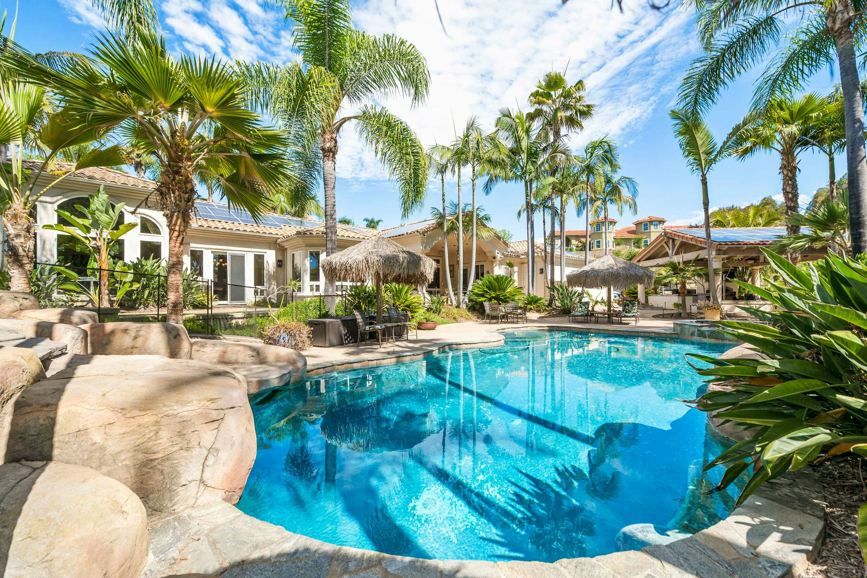 Palms & the Pond
