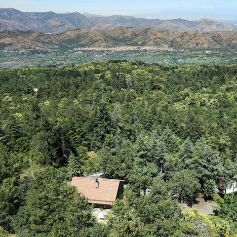 Feel immersed in nature amidst the forest on the foothills of Mount Etna
