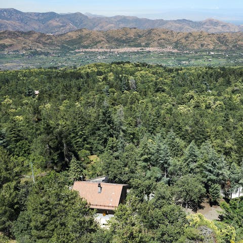 Feel immersed in nature amidst the forest on the foothills of Mount Etna