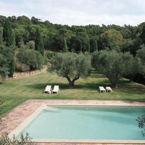 Enjoy an afternoon around a rural oasis – ideally with a glass of red