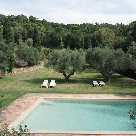 Enjoy an afternoon around a rural oasis – ideally with a glass of red