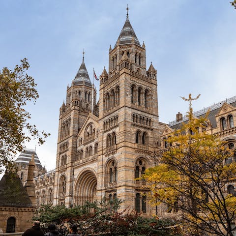 Visit the Natural History Museum – only a twenty-minute walk away