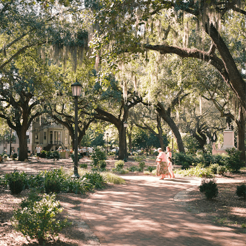 Go for a walk through the oak-dotted squares and parks