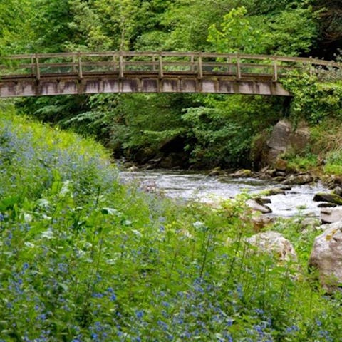 Hope in the car and arrive at Exmoor National Park in just ten minutes