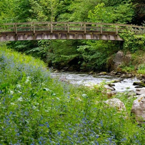 Hope in the car and arrive at Exmoor National Park in just ten minutes