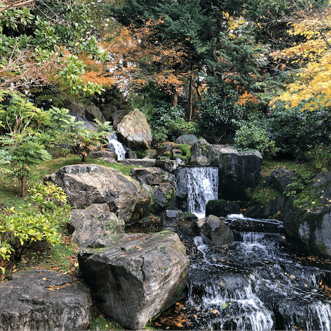 Stroll down to the lush woodlands of Holland Park