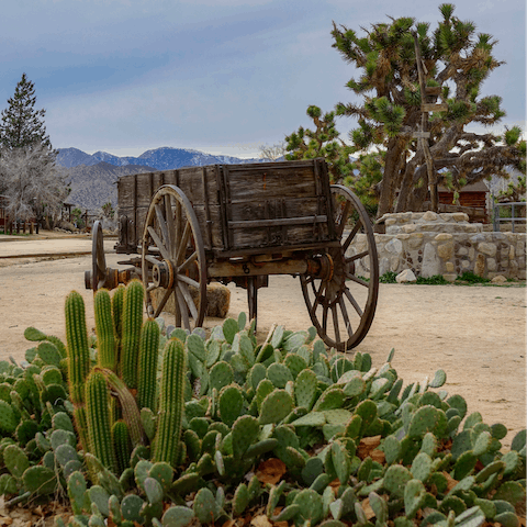 Taste a slice of the Wild West in Pioneertown