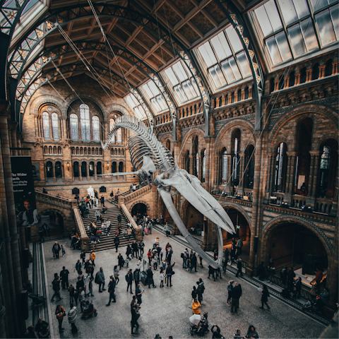 Visit the Natural History Museum, a ten-minute walk away