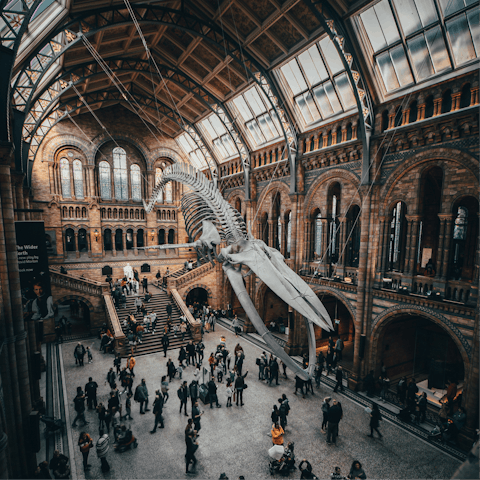 Visit the Natural History Museum, a ten-minute walk away