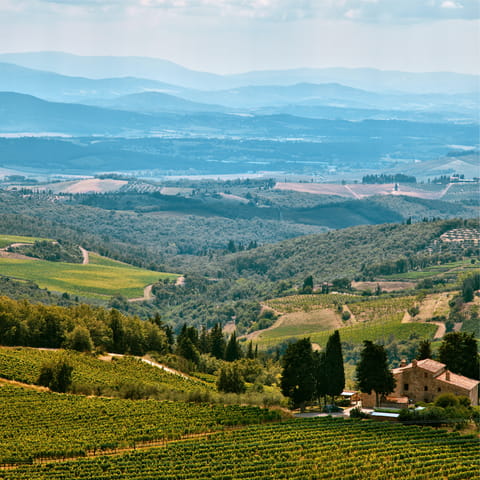 Enjoy incredible views from this Chanti hillside location