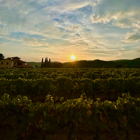 Take a five minute drive to the nearby commune of Gaiole in Chianti
