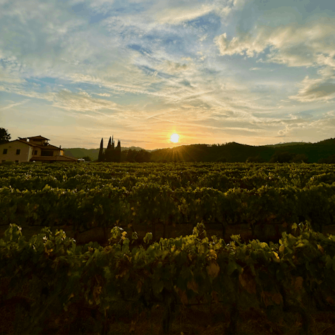 Take a five minute drive to the nearby commune of Gaiole in Chianti