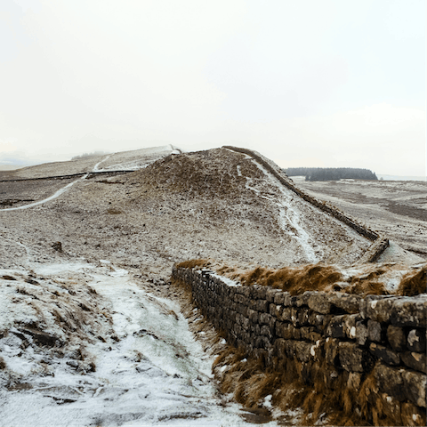 Set off to explore the historic Hadrian's Wall, within easy driving distance
