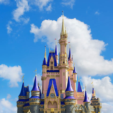 Experience the magic of Florida while exploring Disney