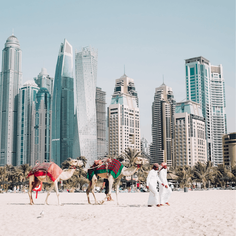 Take your pick from several white sand beaches that line the nearby coastline