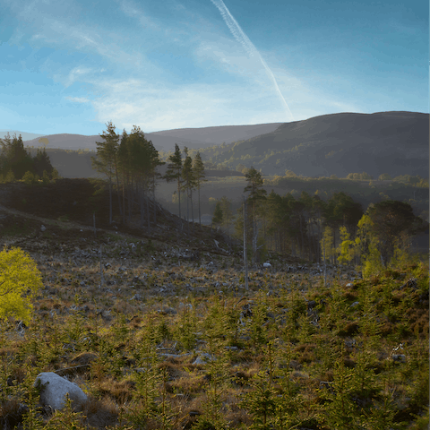 Explore Loch Lomond and the Trossachs National Park
