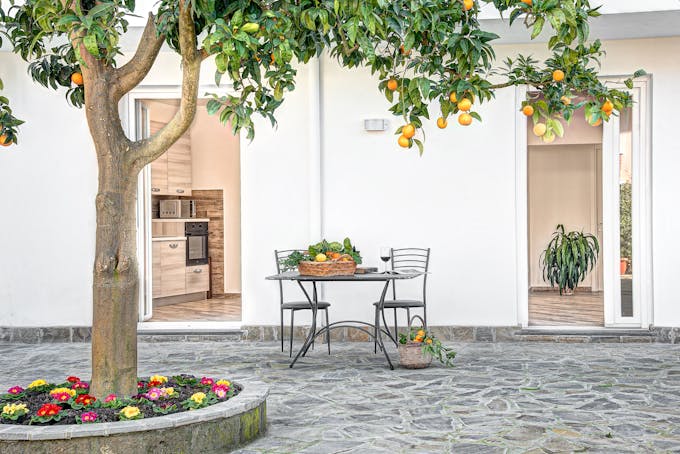 Citrus Season