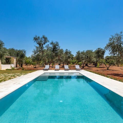 Soak up the sun from the loungers before taking a cooling dip
