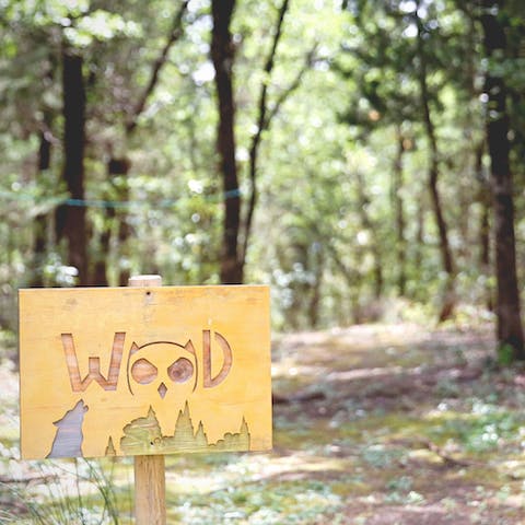 Embark on a leisurely walk in the woodlands, right on your doorstep