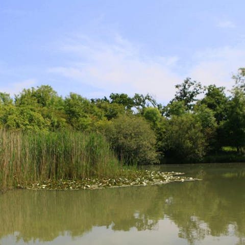 Catch a fish for supper in the fishing lake