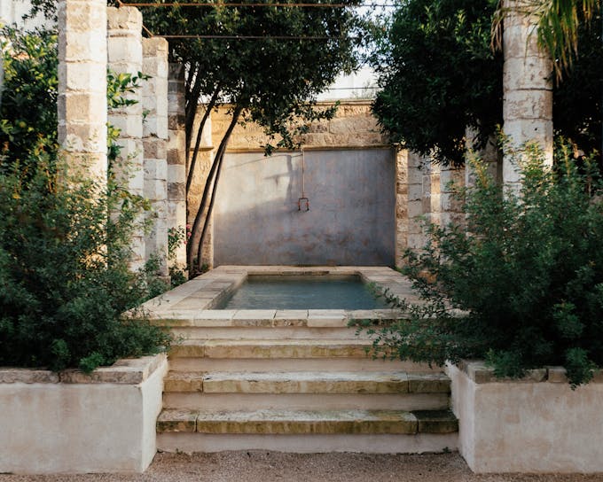 The Citrus Palazzo 