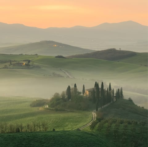 Explore the Tuscan countryside and the medieval town of Vinci