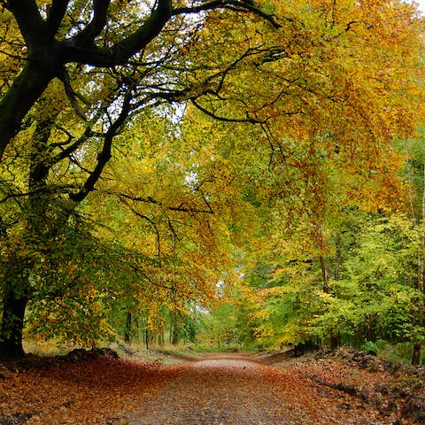 Venture the Wiltshire countryside & enjoy a leisurely amble with the most scenic surroundings