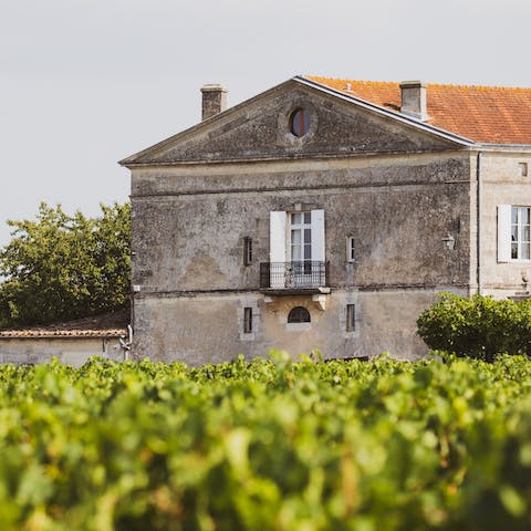 Sample some of the finest wines in the world – made right on your doorstep