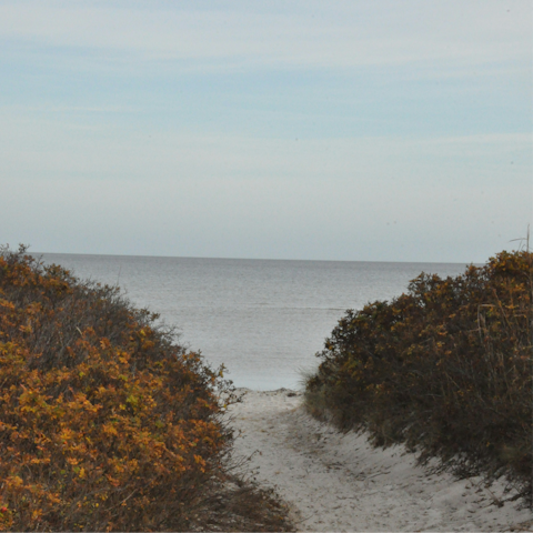 Spend a sunny day on Øster Hurup Beach, easily reached by car