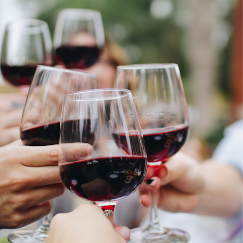 Taste the well-known and respected Piemonte wines