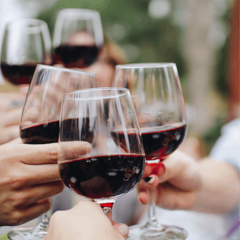 Taste the well-known and respected Piemonte wines