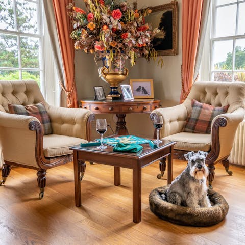 Invite along a few furry friends to share the experience with