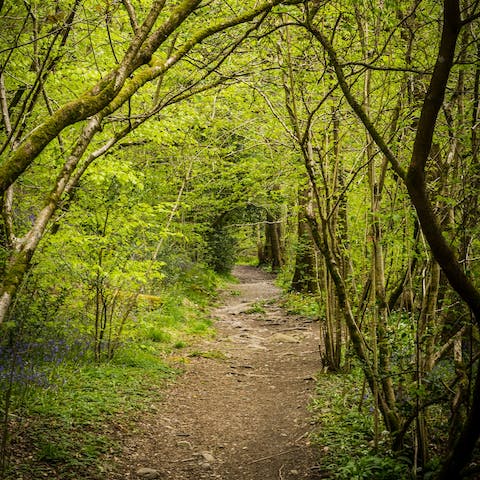 Embark on a forest walk or country hike right from your doorstep