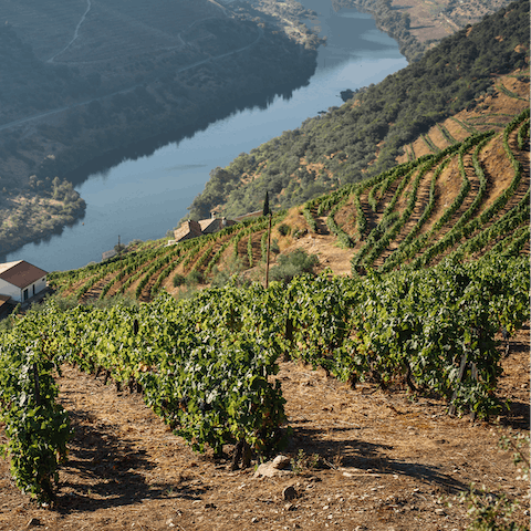 Enjoy incredible views overlooking the Duoro Valley