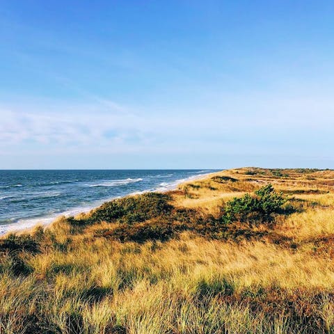 Drive down to the beautiful rocky shores of Mother's Beach