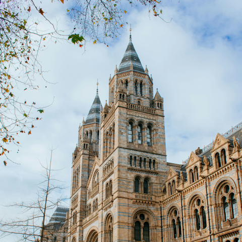 Explore the Natural History Museum, fifteen minutes away