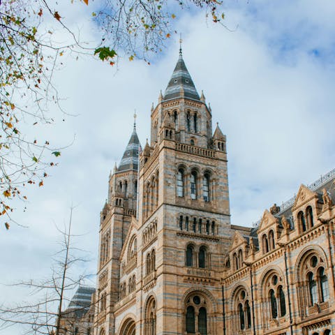 Explore the Natural History Museum, fifteen minutes away