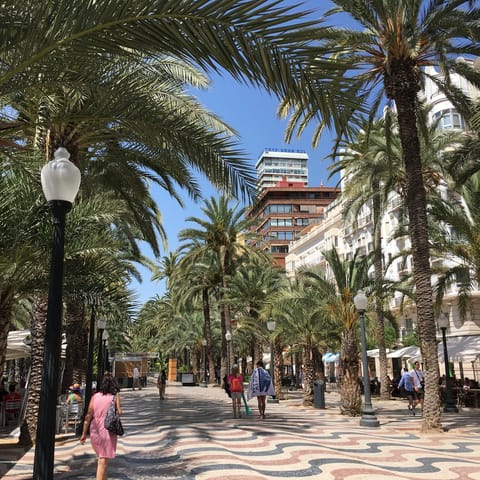 Take a stroll along the palm-lined promenade of Jávea