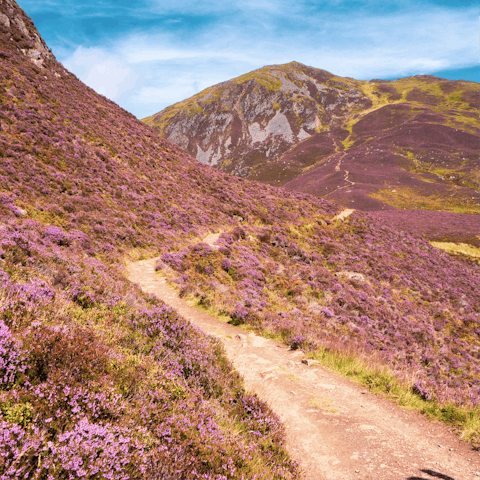 Walk Cairngorms National Park's Wildcat Trail, just 150m away