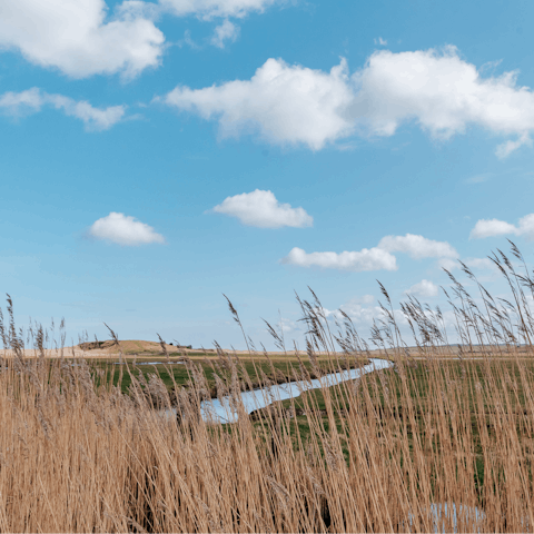 Explore Norfolk, including the pretty village of Burnham Market