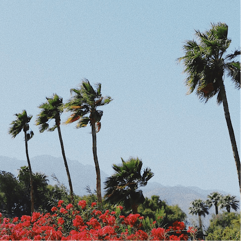 Discover the majestic beauty of Palm Springs with views across the Jacinto Mountains
