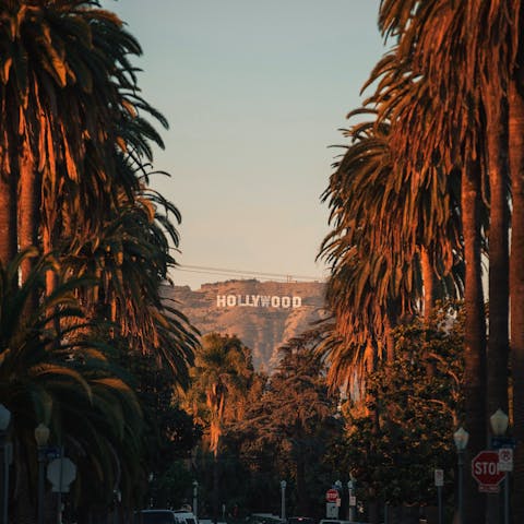 Explore everything Hollywood has to offer