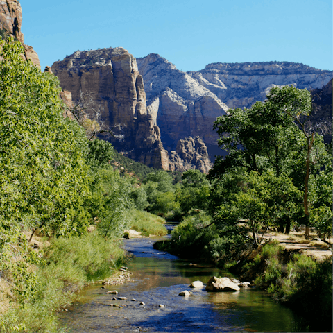 Discover the hiking trails of Zion National Park, forty minutes away