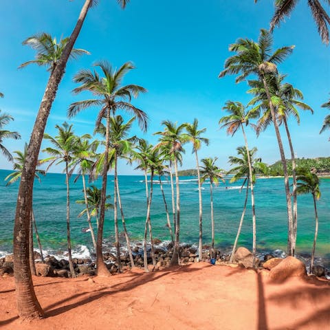 Explore Sri Lanka's stunning south coast