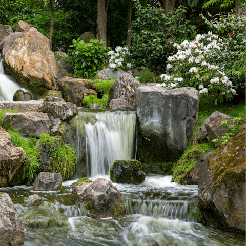 Take a stroll through Holland Park – a short walk away