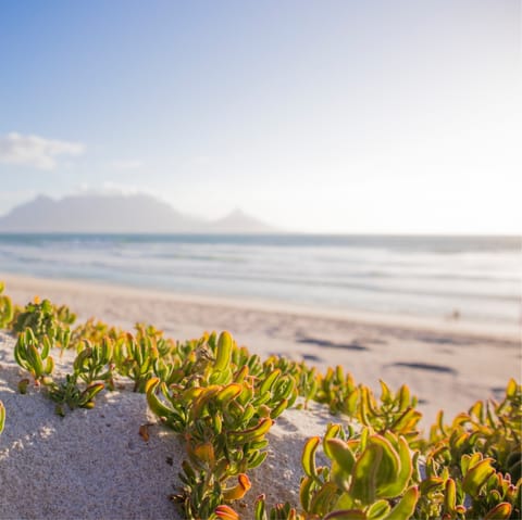 Take in the sea views as you stroll along Sea Point Beach Road promenade, within walking distance of your home