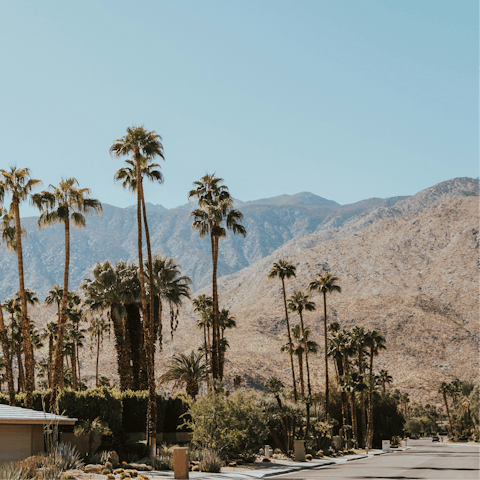 Experience the magic of desert living from Palm Springs